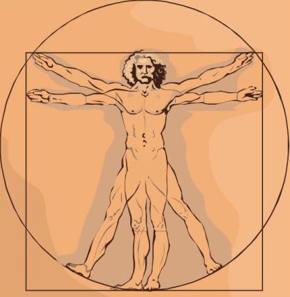 Leonardo da Vinci's Vitruvian Man Sketch