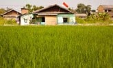 green-grass-post