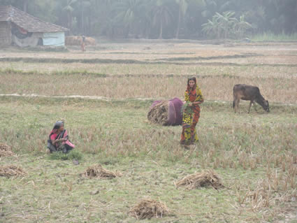 two women in a field