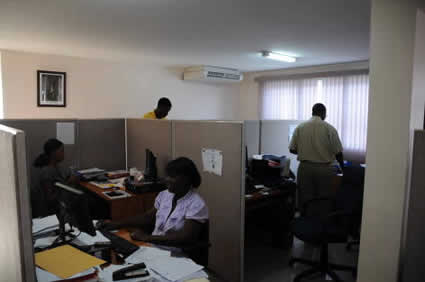 people working in office cubicles in Haiti