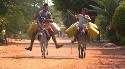 two boys riding donkeys