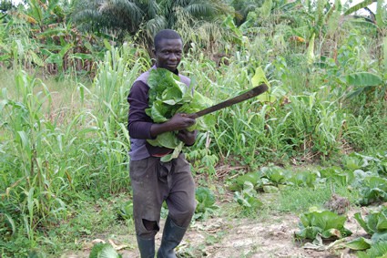 man harvesting crops by hand