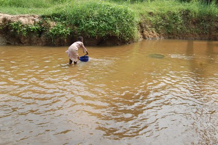 person filling bucket with water from river