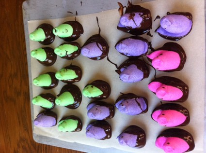 marshmallow peeps dipped in chocolate
