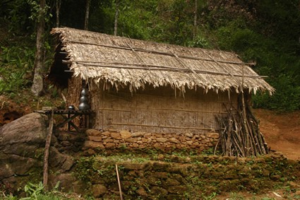 house with a thatched roof