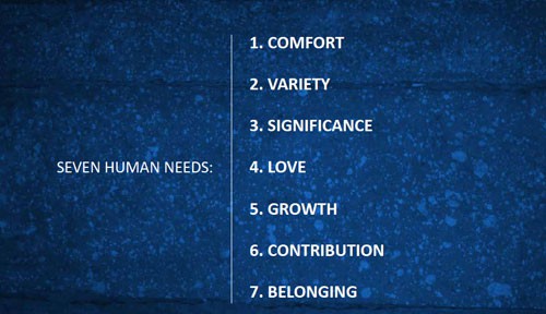 7 human needs summary