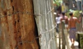 barbed-wire-DR