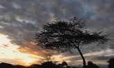 sunset-kenya