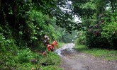 rural haiti