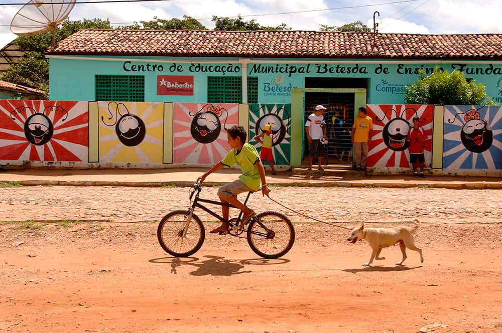Pictures of Dogs Brazil Bike