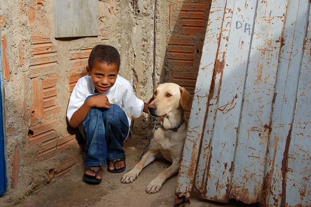 Pictures of Dogs Brazil Boy