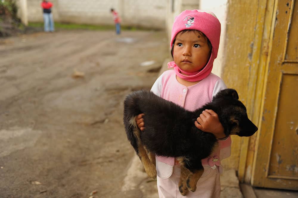 Pictures of Dogs Ecuador Girl
