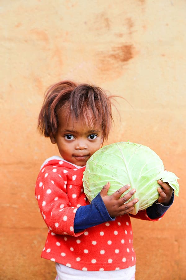 Day of the African Child Loves Her Cabbage