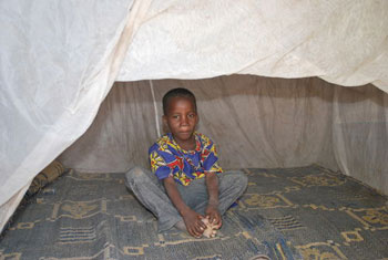boy sitting under mosquito net