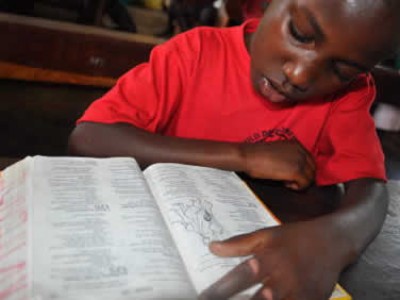 A child in a red shirt reading the Bible