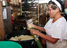 woman putting sticky rice into bamboo stalk