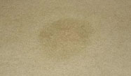 carpet stain