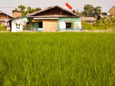 grassy field in front of house