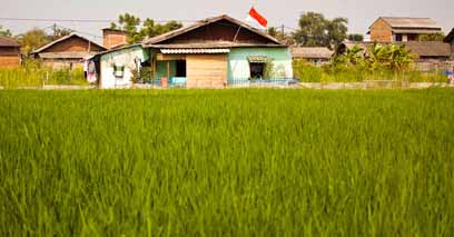 grassy field in front of houses