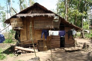 thatched roof house