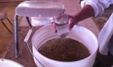water filtration system with dirty water in a bucket and clean water in a glass