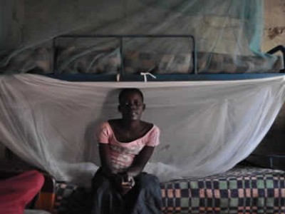 child sitting on a bed under a mosquito net