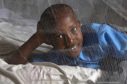 child behind mosquito net