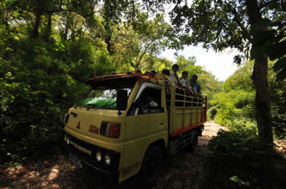 a truck with children in the back