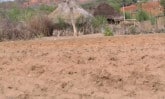 dry field in Kenya