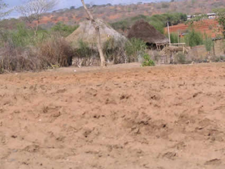 dry field in Kenya