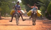 two boys riding donkey on a dirt road