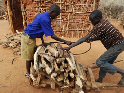 boys stacking firewood