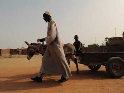man walking alongside a donkey pulling a cart
