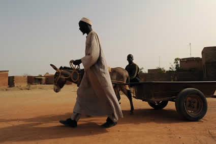 man leading a burro and cart
