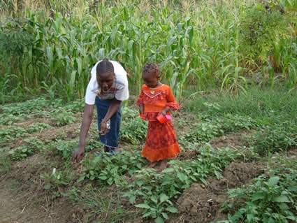 woman and girl working in a vegetable garden
