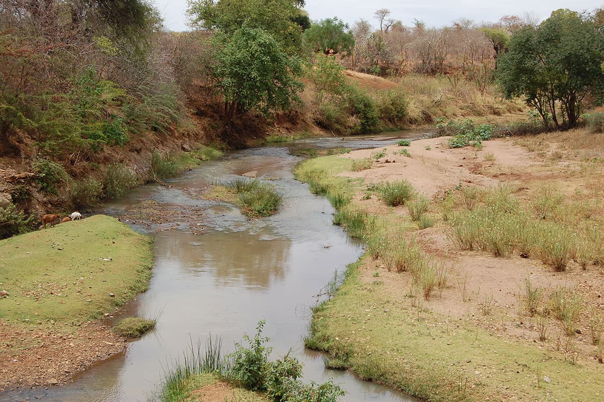 Income generating activities river