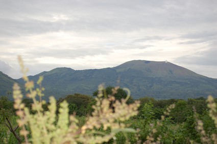 rural mountains and tress in the foreground