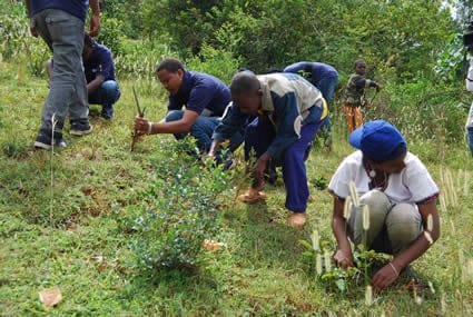 men and women planting in a field