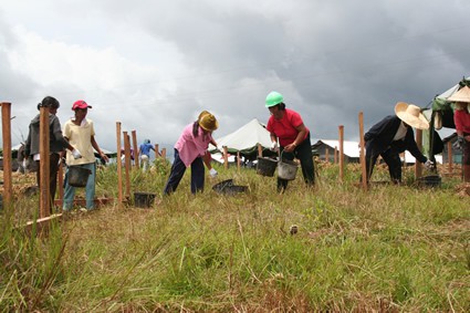 workers passing buckets