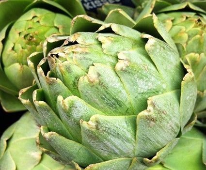 artichoke