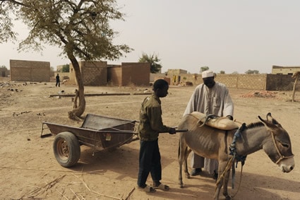 man with donkey and cart