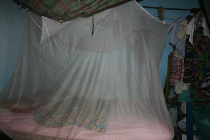 mosquito net over a bed