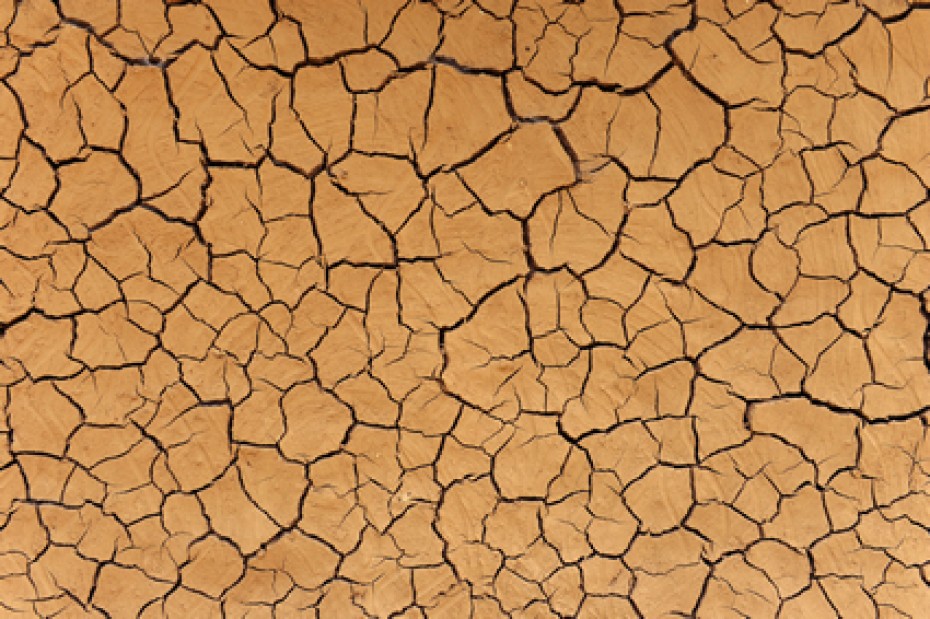 dry cracked land