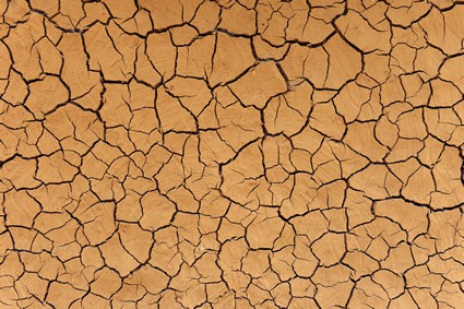 dry cracked ground