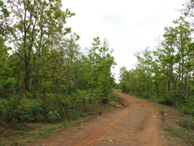 curving dirt road