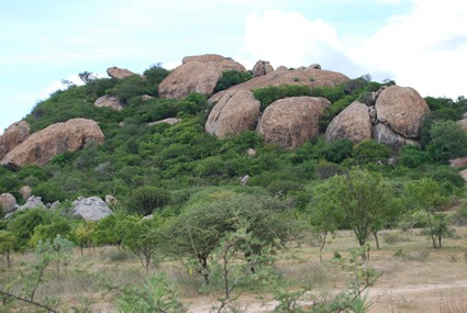 hill covered in rocks and trees