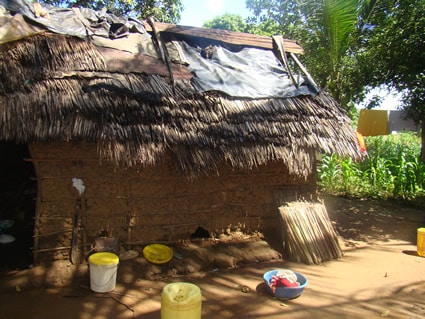 house with thatched roof