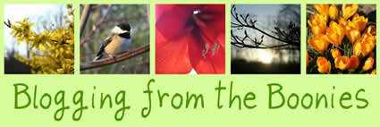 blogging from the boonies banner with nature scenes of trees, flowers, birds
