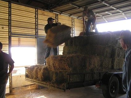 men moving bales of hay
