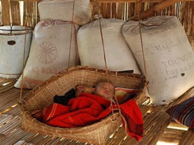 infant asleep in basket